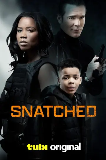 Poster to the movie "Snatched" #1092906