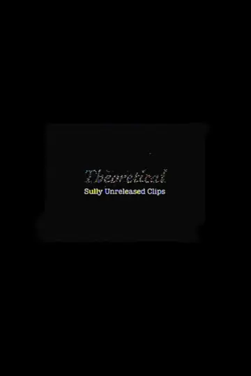 Poster to the movie "Theoretical: Sully Unreleased Clips" #450890