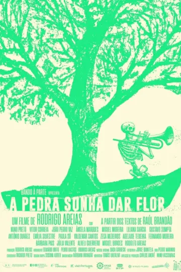 A pedra sonha dar flor poster