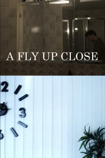 Poster to the movie "A Fly Up Close" #1095567
