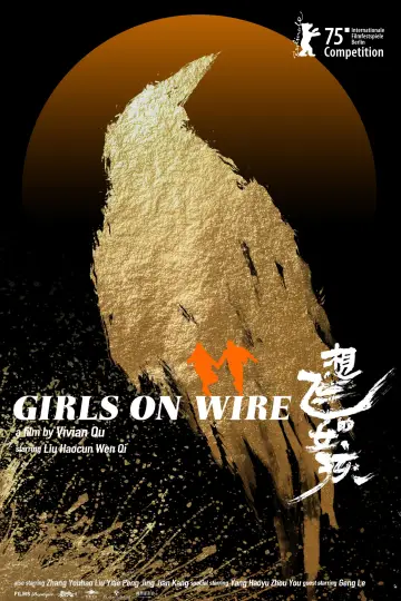 Poster to the movie "Girls on Wire" #541090