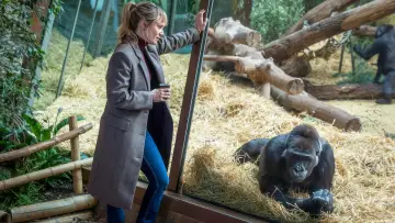 Tatort: Von Affen und Menschen poster