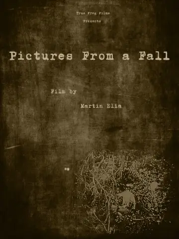 Poster to the movie "Pictures From a Fall" #467672