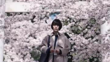 Backdrop to the movie "Sakura" #864644