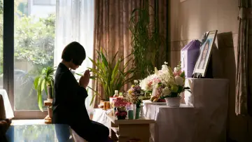 Backdrop to the movie "Sakura" #864647