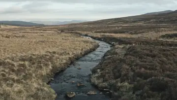 Backdrop to the movie "The New Spirit of Whisky" #457388