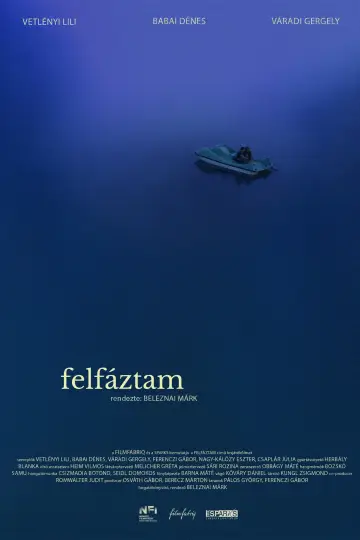 Summer Cold poster