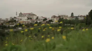 Backdrop to the movie "The Outsiders of Abrantes" #1100158