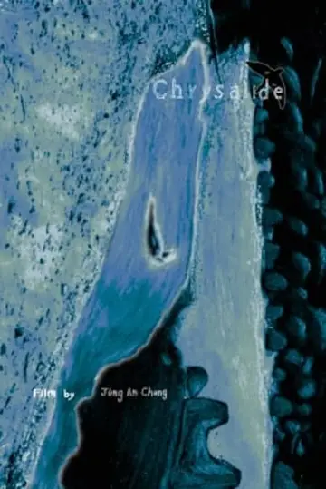 Poster to the movie "Chrysalide" #467925