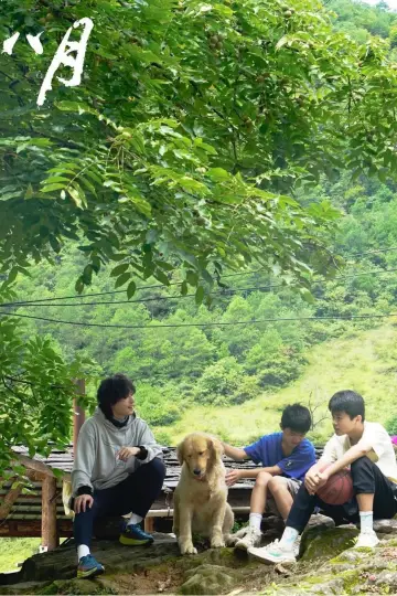 Poster to the movie "August" #1100446