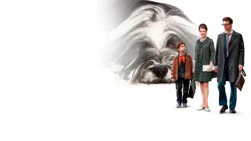 Backdrop to the movie "Everyone Dreams of a Dog" #1101239