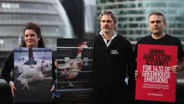 Backdrop to the movie "Joaquin Phoenix: An Actor of Extremes" #1101230