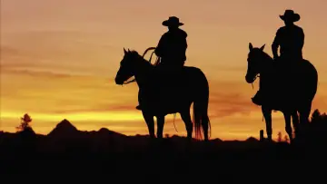 Backdrop to the movie "The Cowboy" #1105621