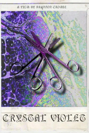 Poster to the movie "Crystal Violet" #1105614