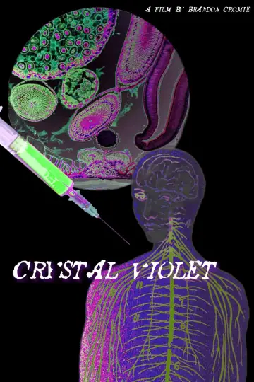 Poster to the movie "Crystal Violet" #1105616