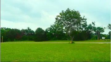 Backdrop to the movie "Chasing the Wind" #1105655