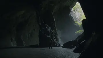 Backdrop to the movie "Urchin" #533650