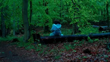 Backdrop to the movie "Pfaffendorf Forest" #469923