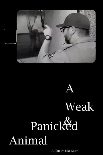 A Weak & Panicked Animal poster