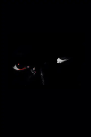 Projection poster
