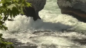 Backdrop to the movie "Neuhausen am Rheinfall, 01.05.2024" #1109417