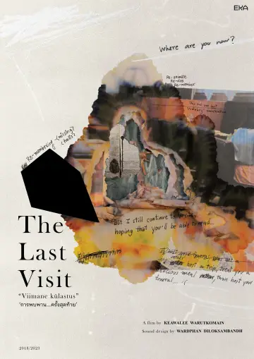 Poster to the movie "The Last Visit" #476923