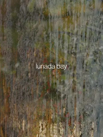 Poster to the movie "Lunada Bay" #465469