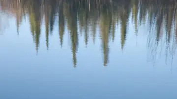 Backdrop to the movie "The Story of a Slough" #1112581