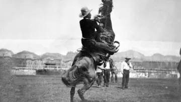 Backdrop to the movie "Buffalo Bill - Erfinder des Wilden Westens" #1114212