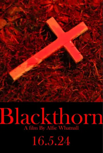 Poster to the movie "Blackthorn" #476517