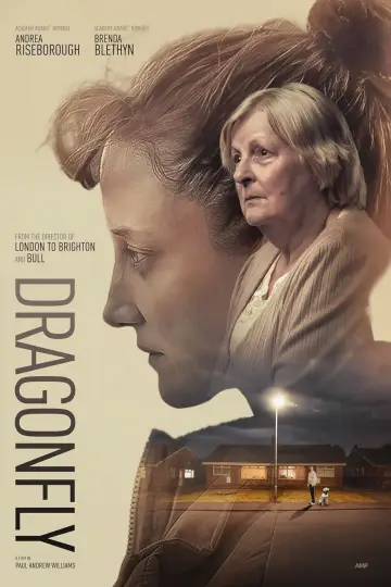 Poster to the movie "Dragonfly" #692827