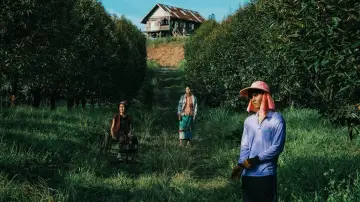 Backdrop to the movie "The Paradise of Thorns" #700388