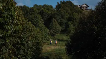 Backdrop to the movie "The Paradise of Thorns" #700396