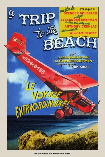 Poster to the movie "A Trip to the Beach" #477142