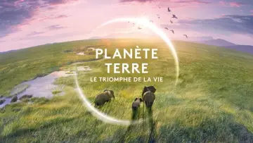 Planète Terre, le triomphe de la vie poster