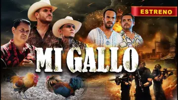 Backdrop to the movie "Mi Gallo" #1195502
