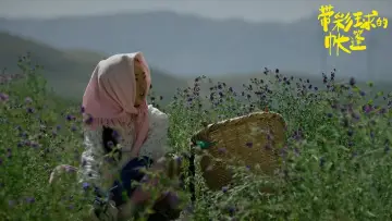 Backdrop to the movie "The Time of a Flower" #483319
