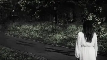 Backdrop to the movie "Nyctophobia" #1117673