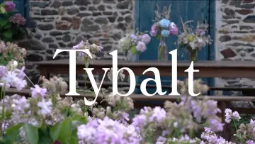 TYBALT poster