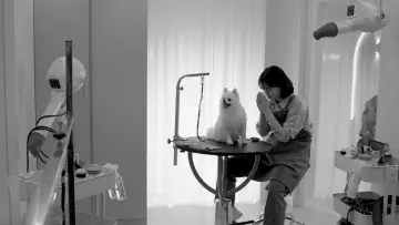 Backdrop to the movie "Good Dog