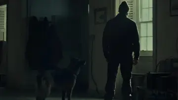 Backdrop to the movie "Shelter" #795471