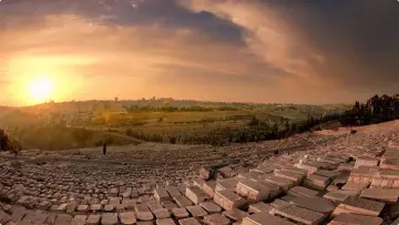 Backdrop to the movie "WHY STAND WITH ISRAEL" #489078