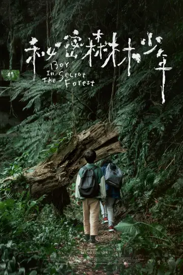 Poster to the movie "Boy in the Secret Forest" #1121071