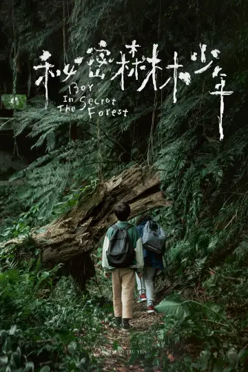 Poster to the movie "Boy in the Secret Forest" #1121072