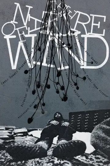 Poster to the movie "The Nature of Wind" #488814