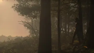 Backdrop to the movie "The Hunger Games: Mockingjay - Part 2" #785575