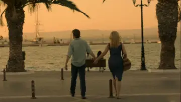 Backdrop to the movie "Before Midnight" #871386