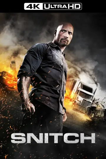 Poster to the movie "Snitch" #121135