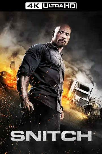 Poster to the movie "Snitch" #861406