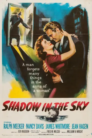 Poster to the movie "Shadow in the Sky" #1167484